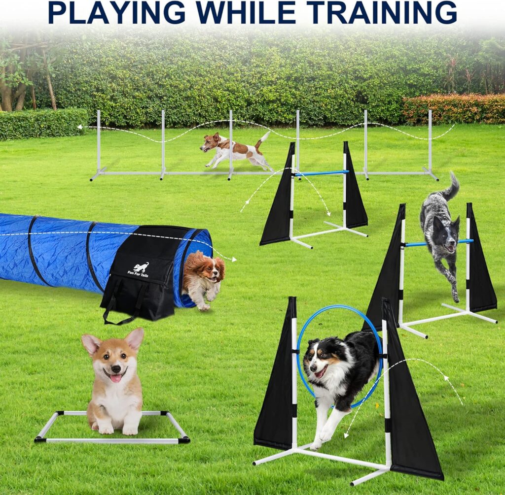 Fun For Tails Premium Dog Agility Training Equipment, Build Any Dog Agility Course, Perfect Agility Training Equipment for Dogs Also Makes A Great Obstacle Course for Dogs! Lots of Fun!
