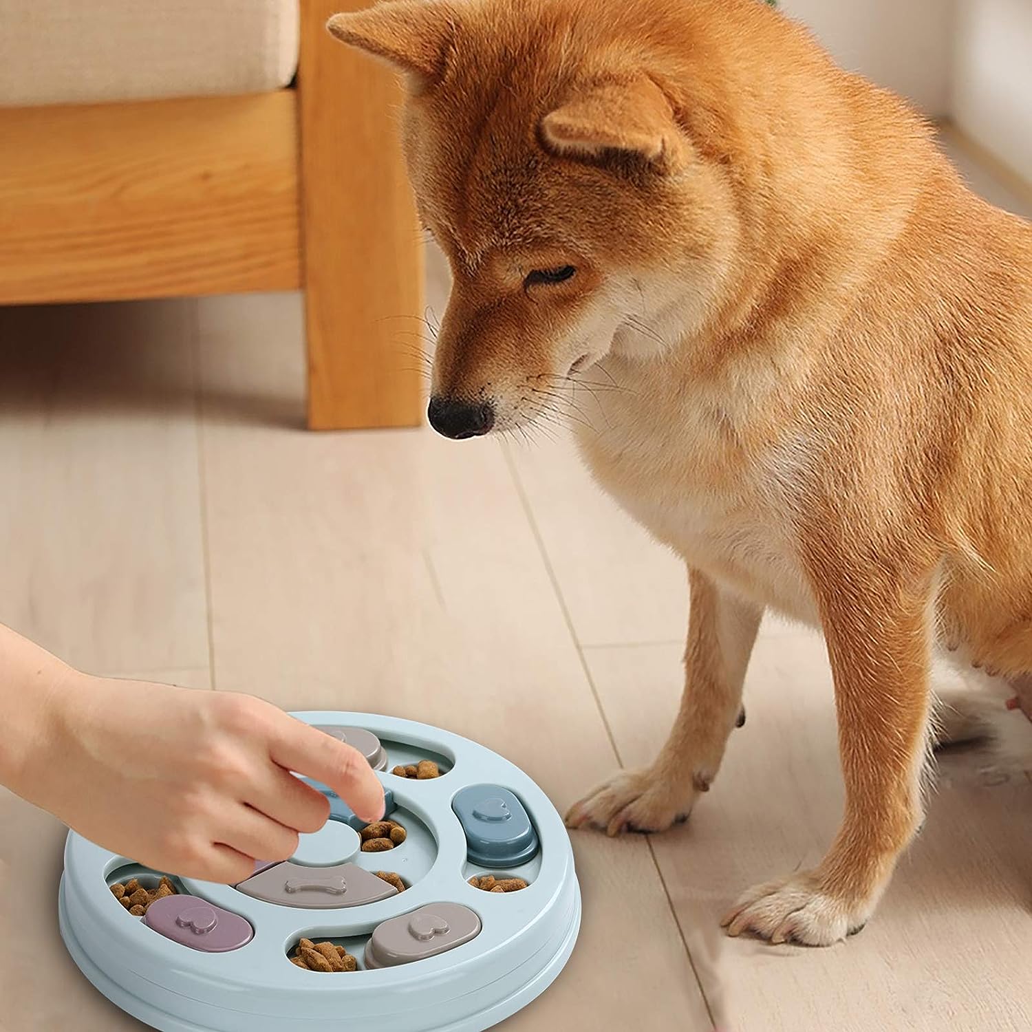 dr catch dog food puzzle feeder toys review