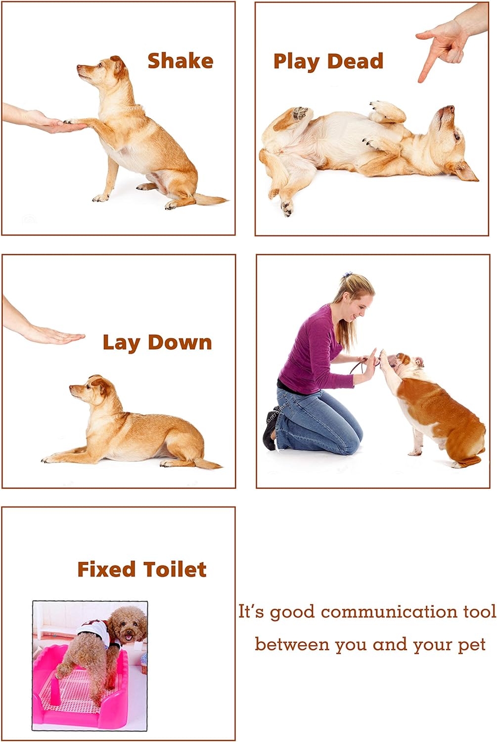 HoAoOo Pet Training Clicker Review