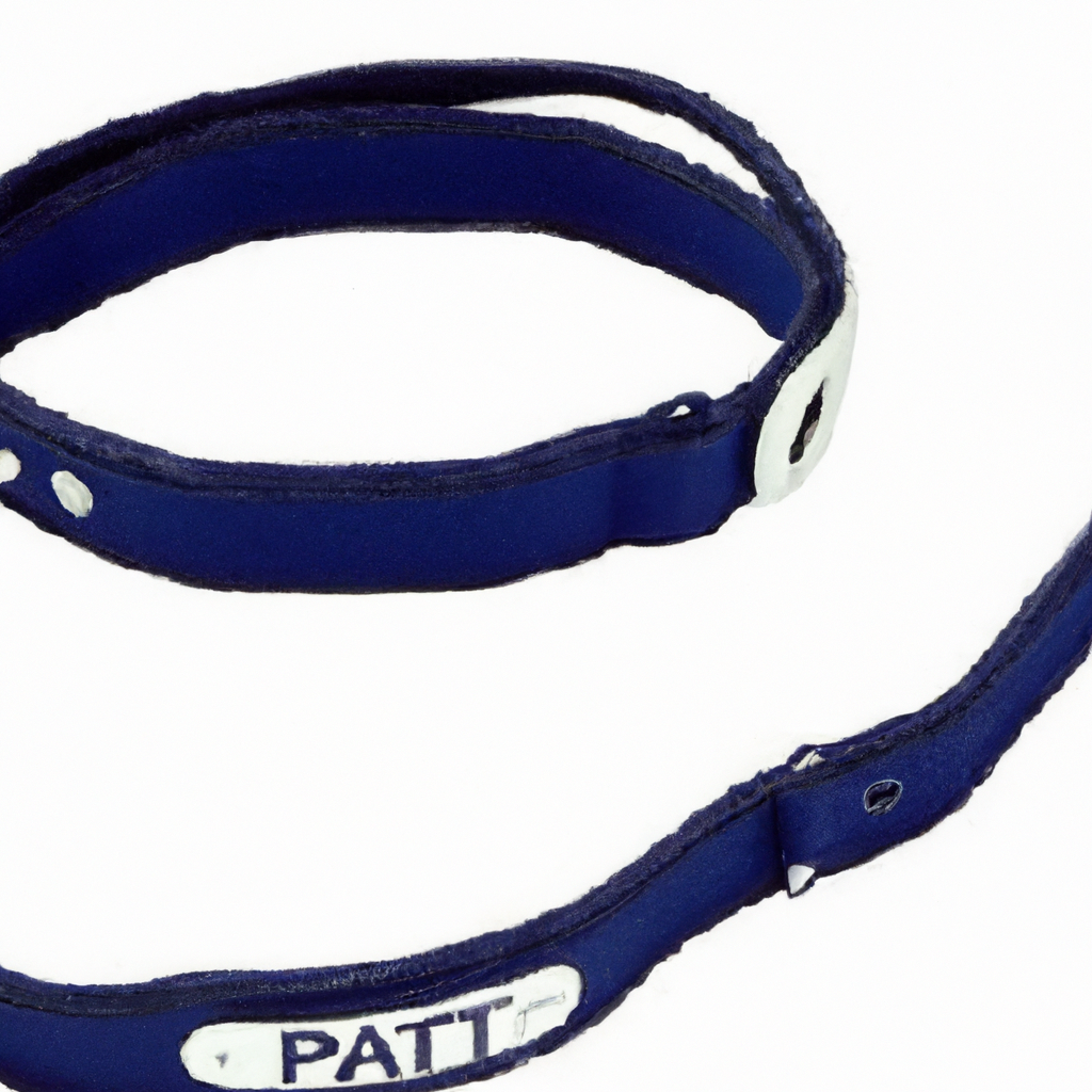 patpet dog training collar review